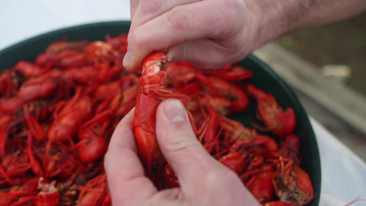 How to Peel and Eat Boiled Crawfish