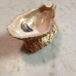 single oyster 2