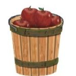 Red apples in brown basket on white background