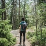 Person hiking in forest