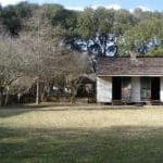 White school cabin set against green trees and green lawn