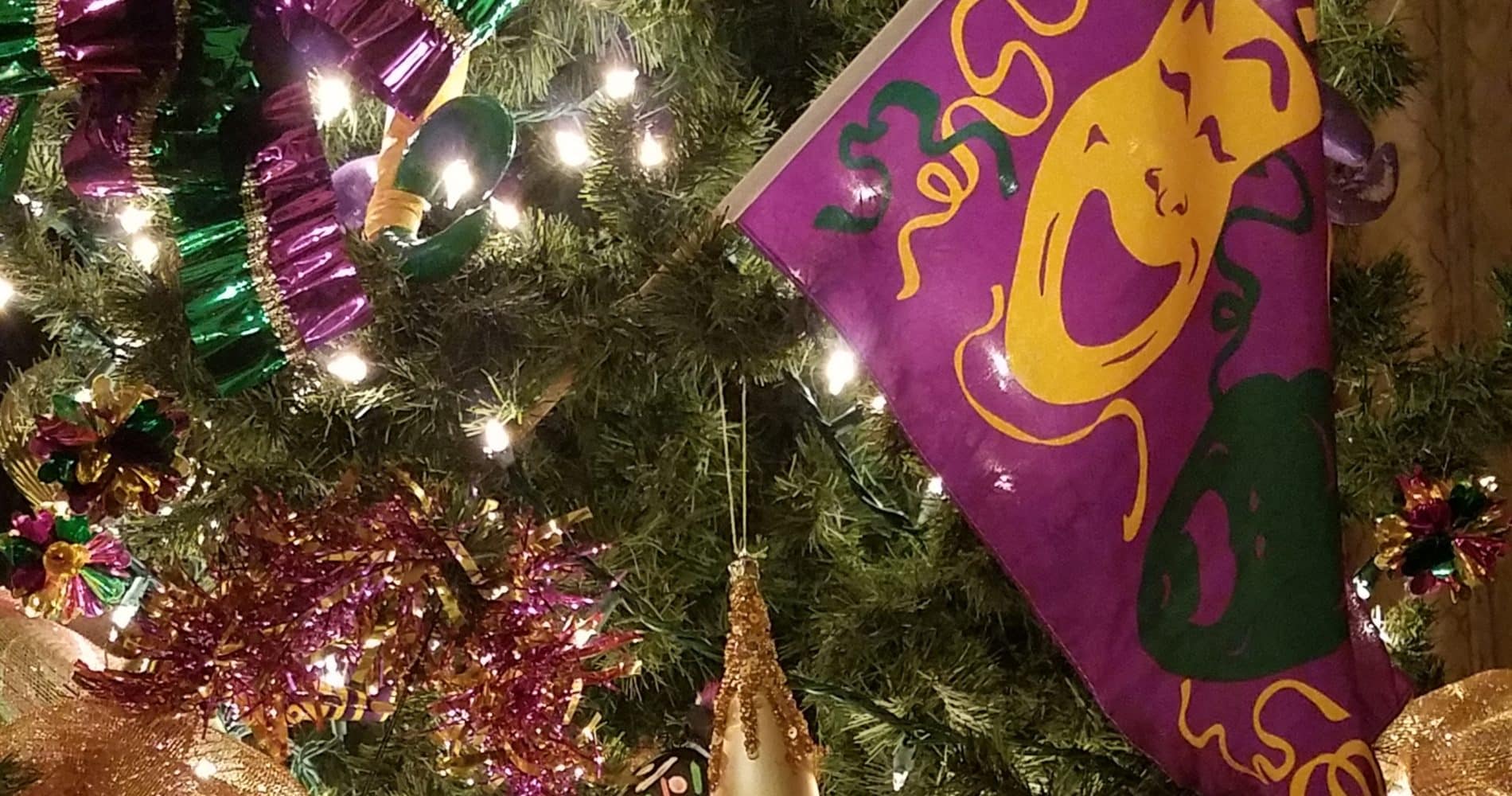 Mardi Gras decorations on tree with white lights