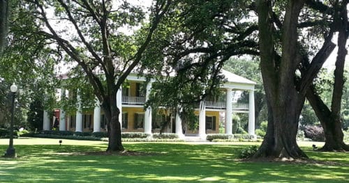 Plantation home with yellow walls, white columns all around, oak trees on property, bright green grass